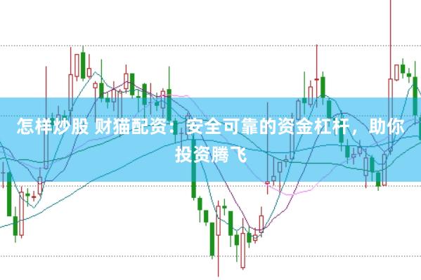 怎样炒股 财猫配资：安全可靠的资金杠杆，助你投资腾飞