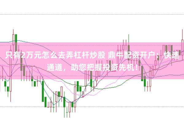 只有2万元怎么去弄杠杆炒股 鼎牛配资开户：快速通道，助您把握投资先机！