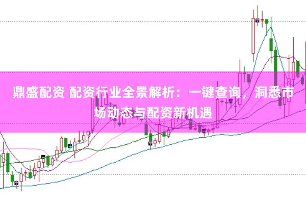 鼎盛配资 配资行业全景解析：一键查询，洞悉市场动态与配资新机遇