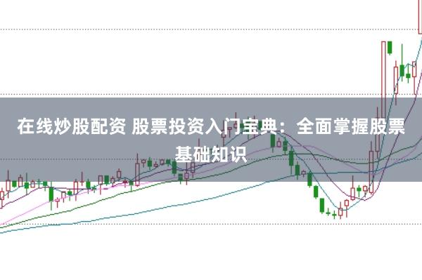 在线炒股配资 股票投资入门宝典：全面掌握股票基础知识