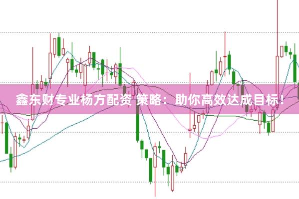 鑫东财专业杨方配资 策略：助你高效达成目标！