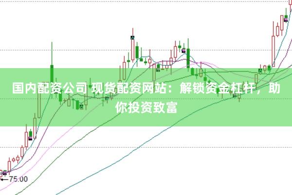 国内配资公司 现货配资网站：解锁资金杠杆，助你投资致富