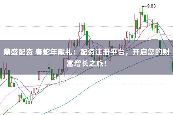 鼎盛配资 春蛇年献礼：配资注册平台，开启您的财富增长之旅！
