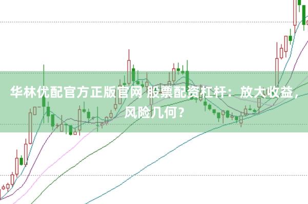 华林优配官方正版官网 股票配资杠杆：放大收益，风险几何？