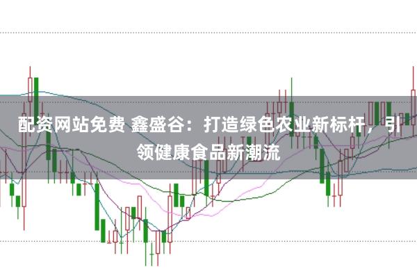 配资网站免费 鑫盛谷：打造绿色农业新标杆，引领健康食品新潮流