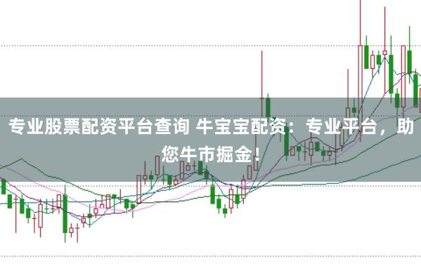 专业股票配资平台查询 牛宝宝配资：专业平台，助您牛市掘金！
