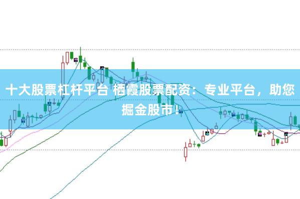 十大股票杠杆平台 栖霞股票配资：专业平台，助您掘金股市！