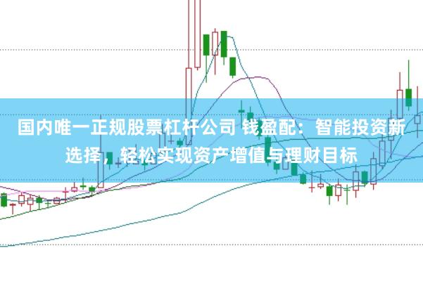 国内唯一正规股票杠杆公司 钱盈配：智能投资新选择，轻松实现资产增值与理财目标