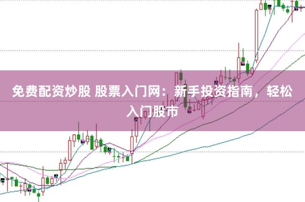 免费配资炒股 股票入门网：新手投资指南，轻松入门股市