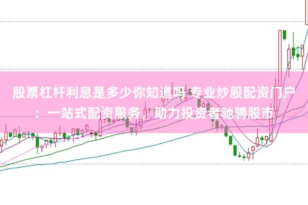 股票杠杆利息是多少你知道吗 专业炒股配资门户：一站式配资服务，助力投资者驰骋股市