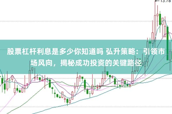 股票杠杆利息是多少你知道吗 弘升策略：引领市场风向，揭秘成功投资的关键路径