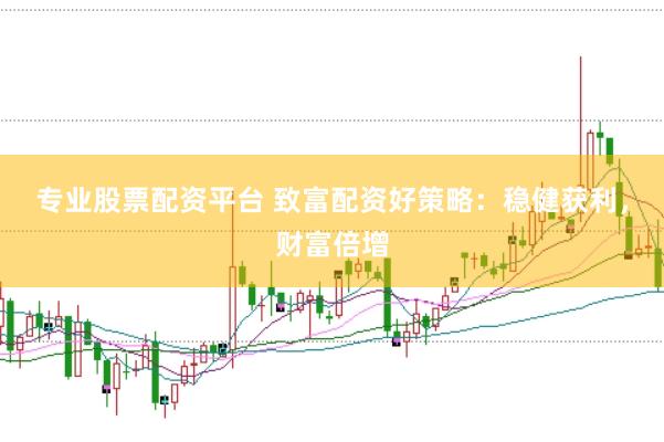 专业股票配资平台 致富配资好策略：稳健获利，财富倍增