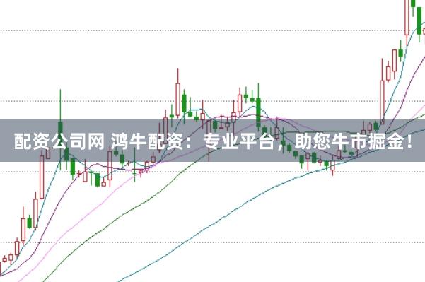 配资公司网 鸿牛配资：专业平台，助您牛市掘金！