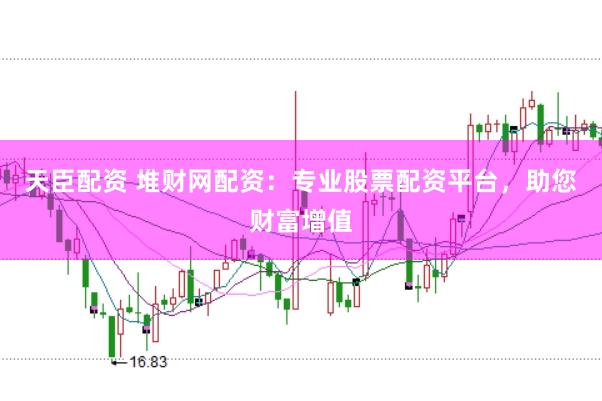 天臣配资 堆财网配资：专业股票配资平台，助您财富增值