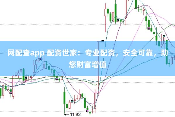 网配查app 配资世家:专业配资,安全可靠,助您财富增值