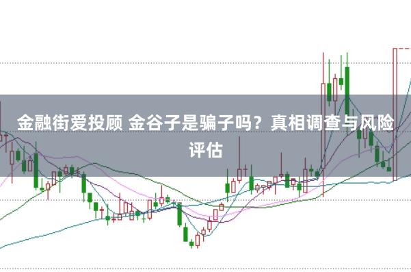 金融街爱投顾 金谷子是骗子吗?真相调查与风险评估